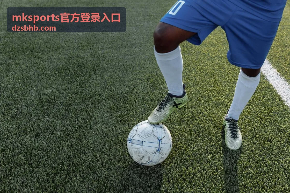 mksports官方登录入口首屏视觉背景