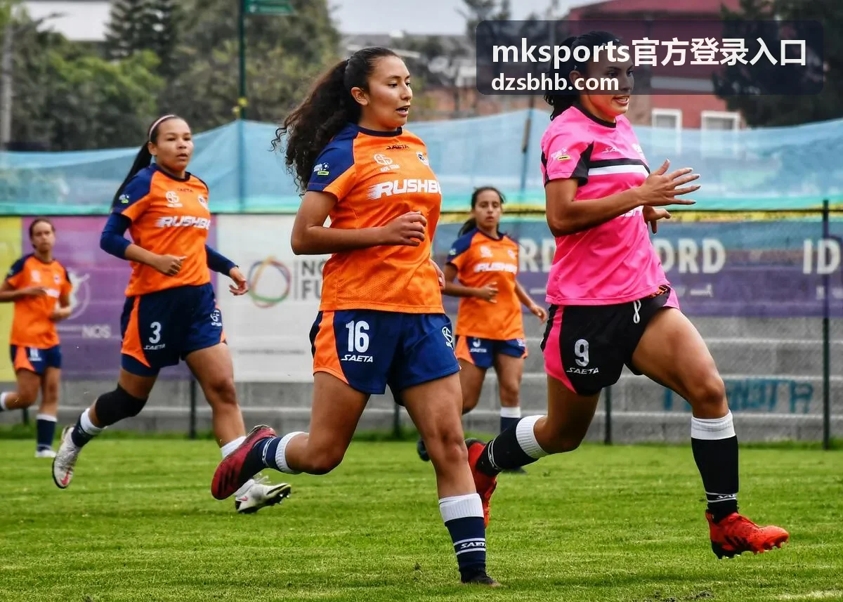 mksports官方登录入口的地址核对与访问路径示意