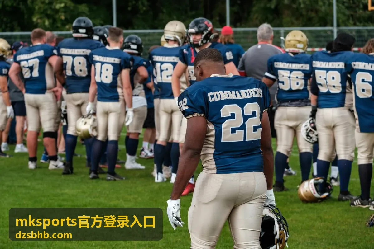 mksports官方登录入口的客户端下载与设备适配配图