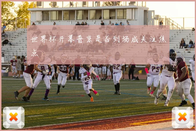 世界杯开幕普京是否到场成关注焦点