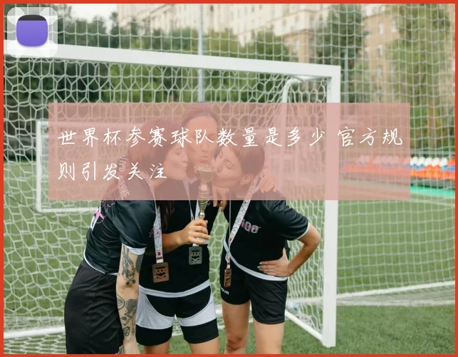 世界杯参赛球队数量是多少 官方规则引发关注