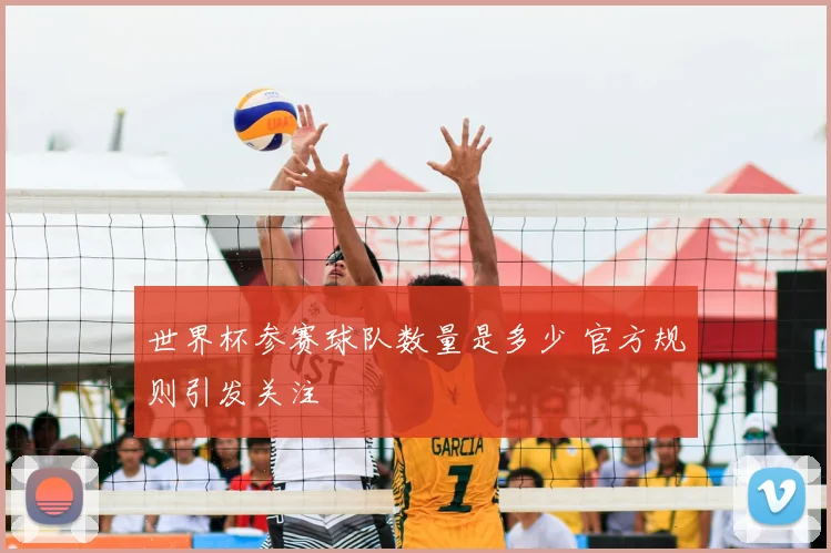 世界杯参赛球队数量是多少 官方规则引发关注